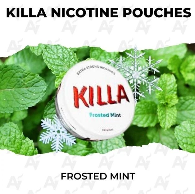 KILLA Frosted Mint 16mg Nicotine Pouches Can of KILLA Frosted Mint 16mg all white nicotine pouches from KILLA nicotine pouches online shop | killa frosted mint 16mg nicotine pouches.jpg