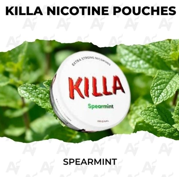 KILLA Spearmint 16mg Nicotine Pouches | killa nicotine pouches spearmint 16mg.jpg Can of KILLA Spearmint 16mg all white extra strong nicotine pouches| killa nicotine pouches spearmint 16mg.jpg