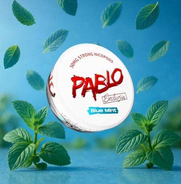 Open Can of PABLO Blue Mint 30mg Slim Pouches An open can showing white slim PABLO Blue Mint 30mg pouches resting inside. | pablo blue mint 30mg slim pouches.jpg