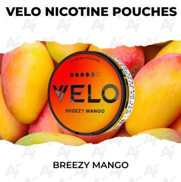 VELO Breezy Mango 14mg Nicotine Pouches Can of VELO Breezy Mango 14mg nicotine pouches from best VELO pouches shop Australia | velo breezy mango 14mg pouches australia buy.jpg