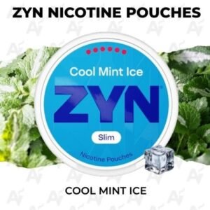 Zyn Poches Australia | zyn nicotine pouches cool mint ice 12 5mg australia.jpg