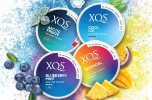 buy xqs nicotine pouches australia